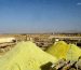 the price of iraqi sulfur